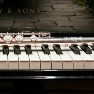 Logo de Dúo Flauta y Piano